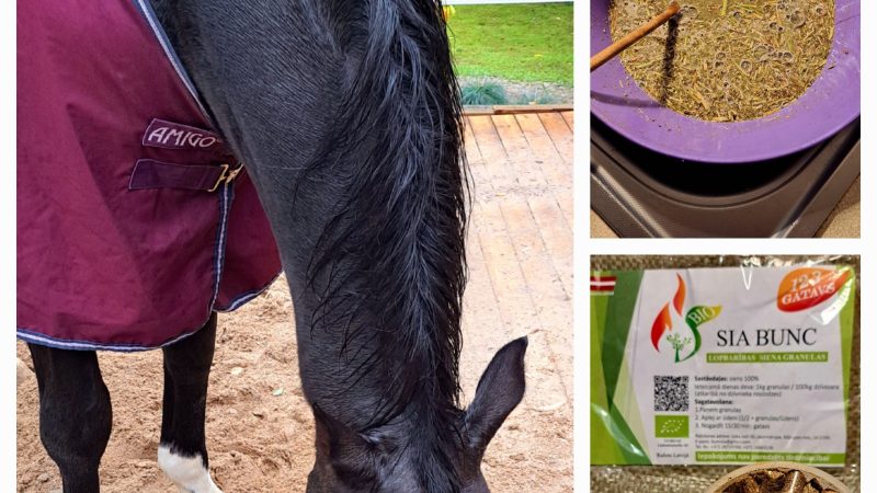 ka-pieradinat-zirgu-siena-granulas